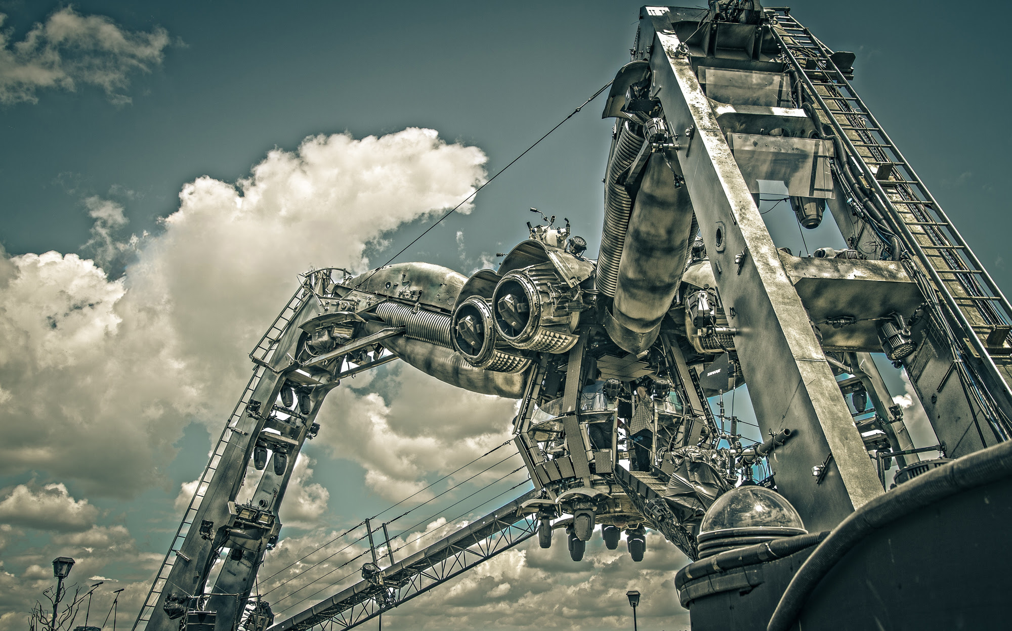 Arcadia Spider